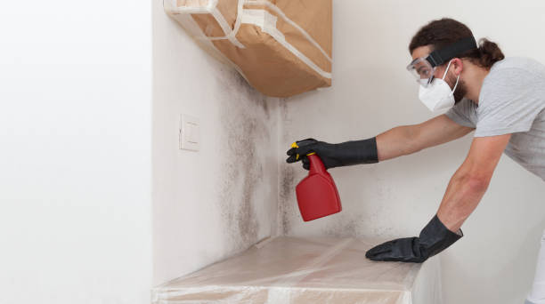 Professional Attic Mold Remediation technician working in Lindenhurst, NY