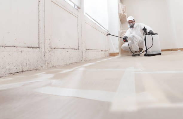 24/7 Emergency Attic Mold Remediation experts in Lindenhurst, NY
